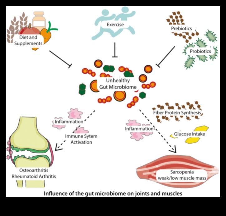 Proteinele și microbiomul intestinal: o interacțiune dinamică