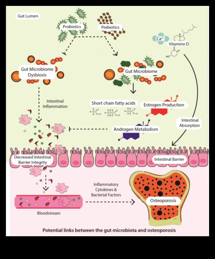Proteinele și microbiomul intestinal: o interacțiune dinamică