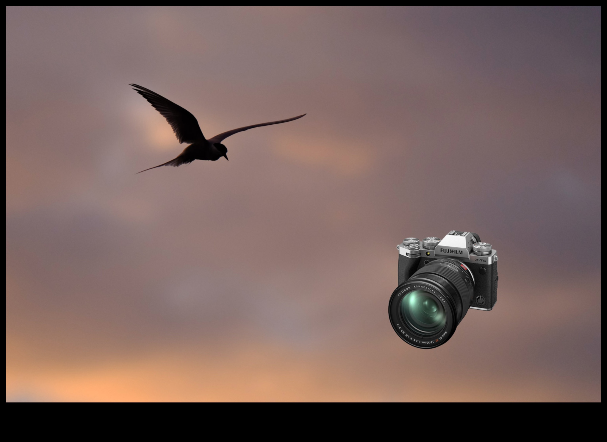 Dincolo de focalizare automată: stăpânirea focalizării manuale pentru fotografia artistică