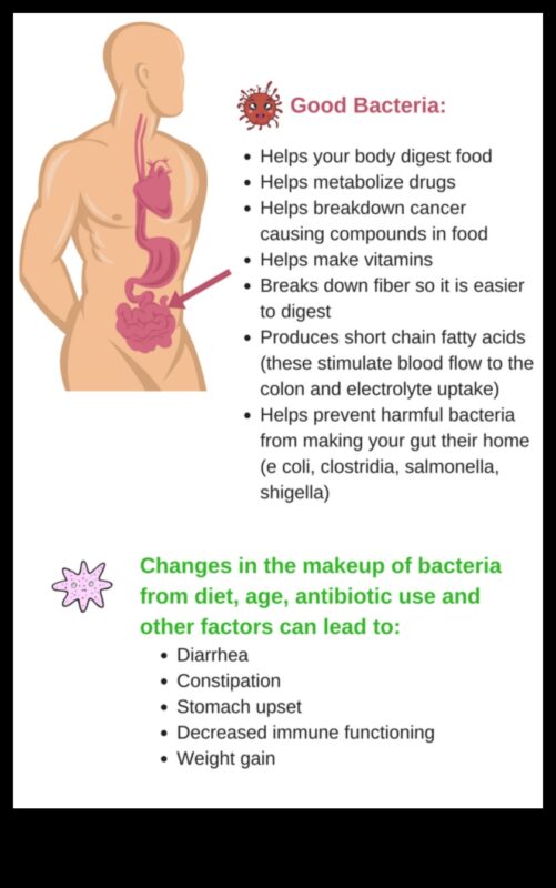 Influența sănătății intestinale asupra dietelor de slăbit