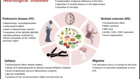 Condiții ceto și autoimune: Explorarea legăturilor