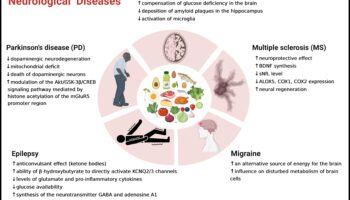 Condiții ceto și autoimune: Explorarea legăturilor