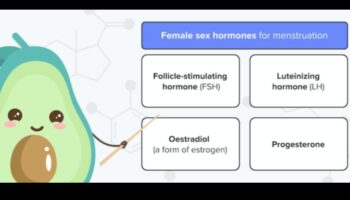 Keto și sănătatea menstruală: o perspectivă cuprinzătoare