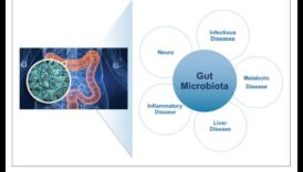 Proteinele și microbiomul intestinal: o interacțiune dinamică