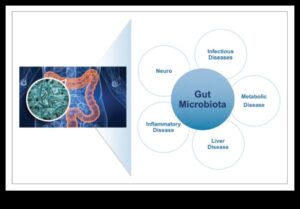 Proteinele și microbiomul intestinal: o interacțiune dinamică