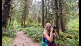 Trasee economice: drumeții pe căile aventurii prietenoase cu bugetul