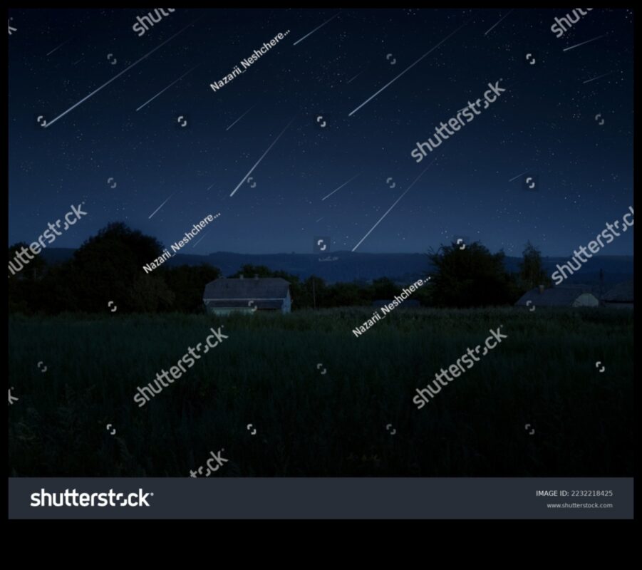 Urme stelare: marca meteoroizilor peste pânza cerească