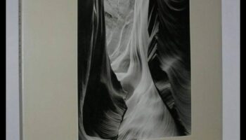 Simfonia vizuală: deblocarea creativității prin educație cuprinzătoare în fotografie